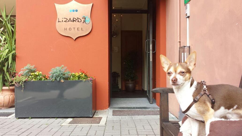 Lizard Hotel Como Exteriör bild